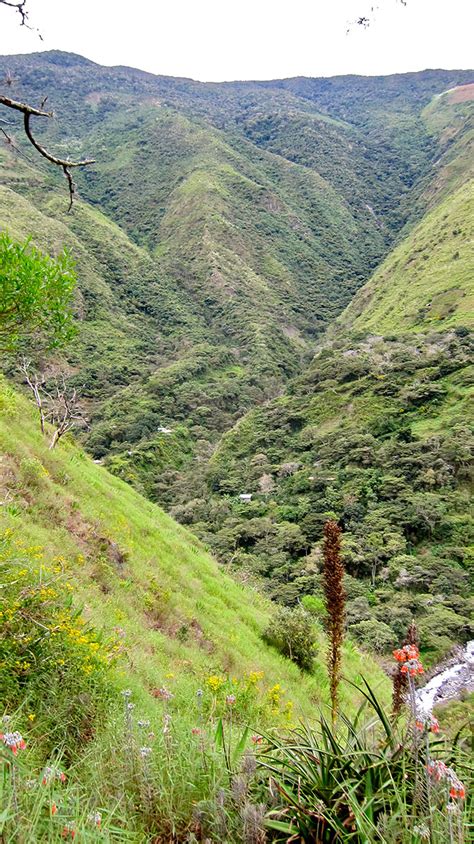 Paititi’s 4000 Acre Sanctuary – Larapata Hatunpata.